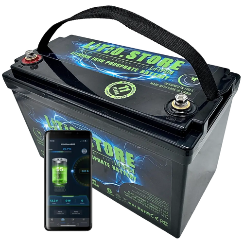 Batteria LiFePO4 12V 100Ah Bluetooth Litio Store LFP 150A BMS 1280Wh 11484 - LiFePO4 Battery