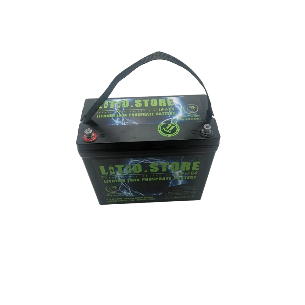 Batteria LiFePO4 12V 100Ah Serie PICCOLA litio-ferro-fosfato 100A BMS 1280Wh 11493 - LiFePO4 Battery
