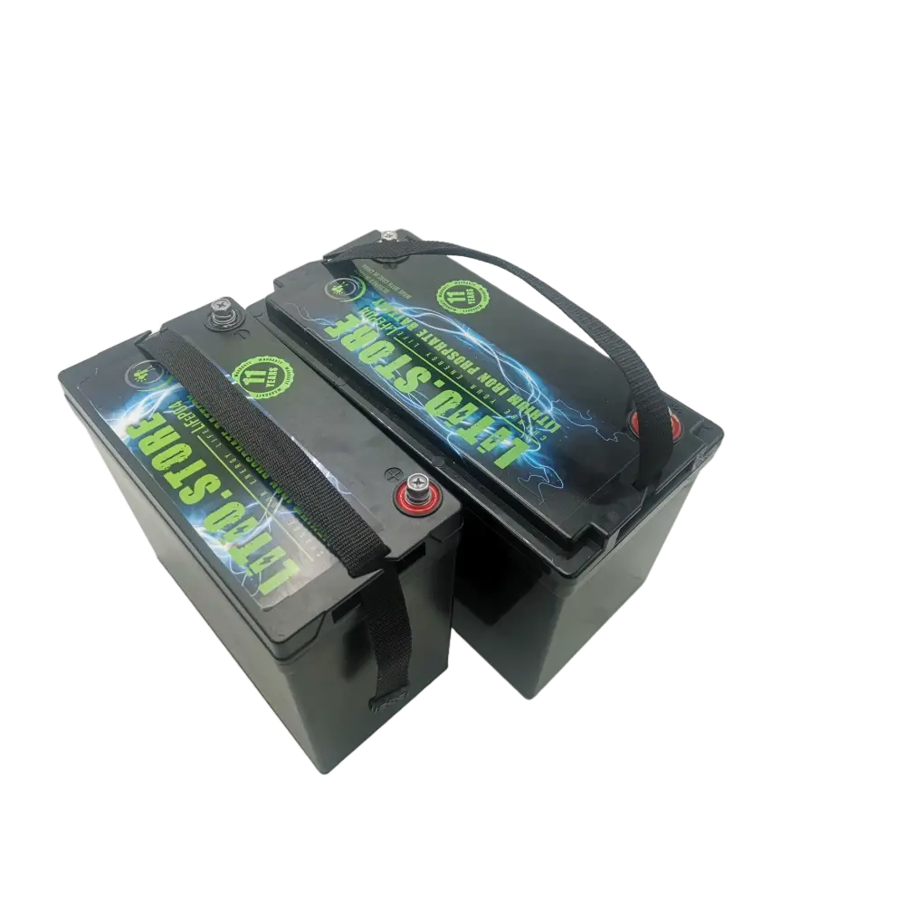 Batteria LiFePO4 12V 100Ah Serie PICCOLA litio-ferro-fosfato 100A BMS 1280Wh 11493 - LiFePO4 Battery