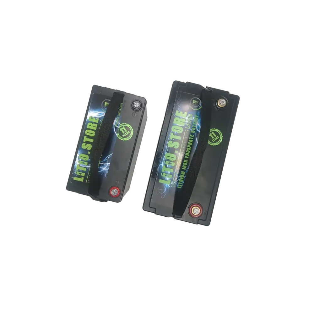 Batteria LiFePO4 12V 100Ah Serie PICCOLA litio-ferro-fosfato 100A BMS 1280Wh 11493 - LiFePO4 Battery