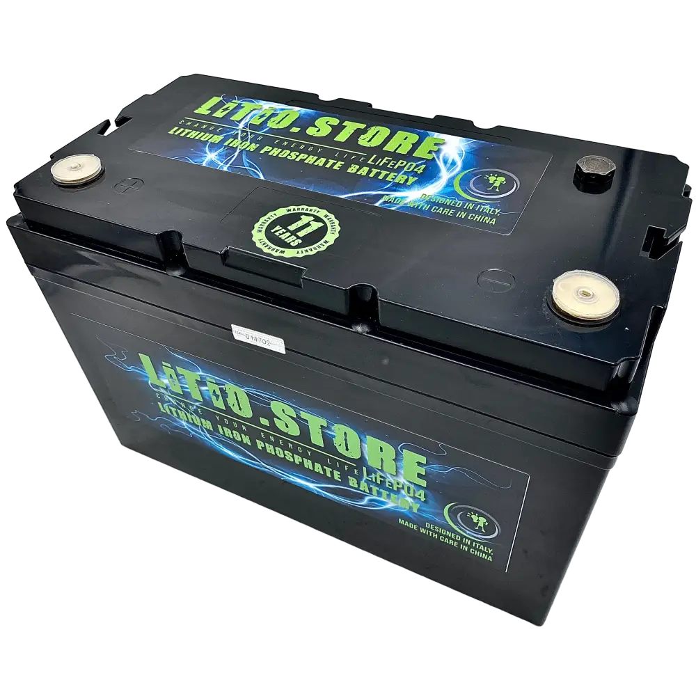 Batteria LiFePO4 12V 190Ah Serie PICCOLA Litio Store 200A BMS 2432Wh 11494 - LiFePO4 Battery
