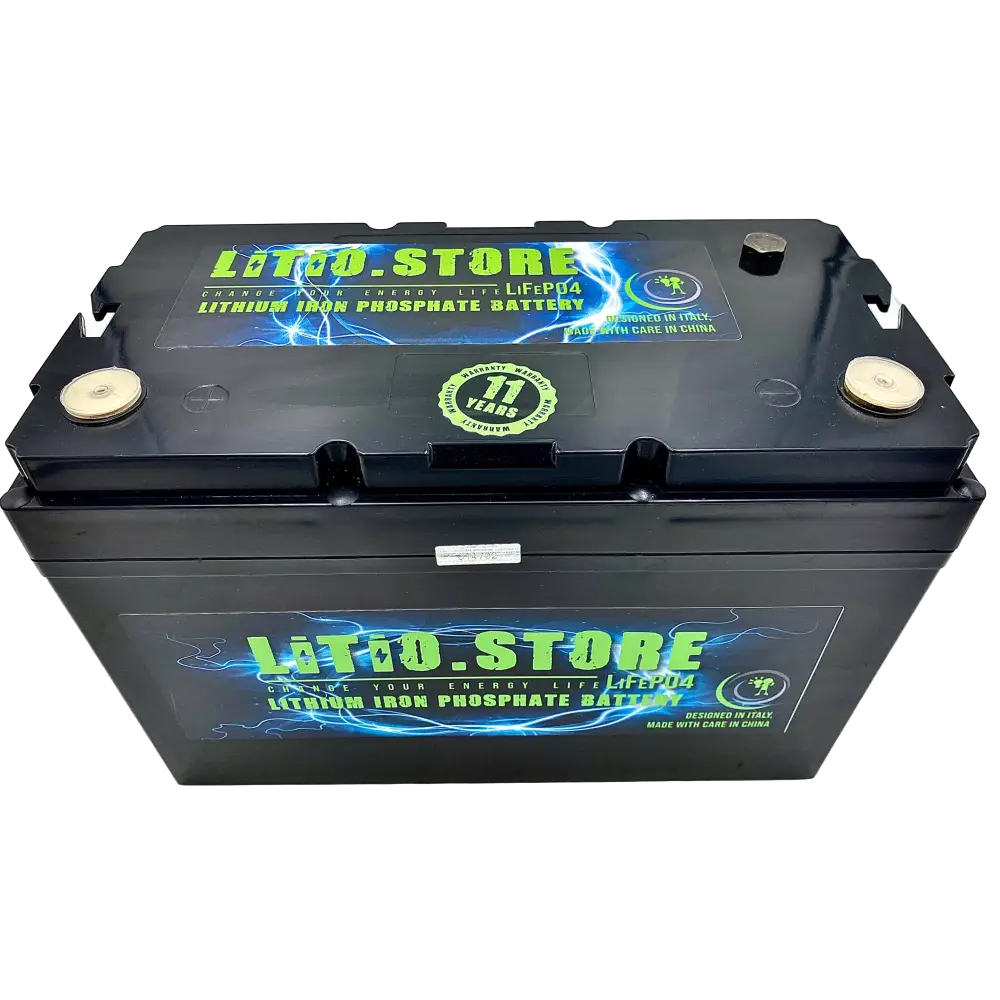 Batteria LiFePO4 12V 190Ah Serie PICCOLA Litio Store 200A BMS 2432Wh 11494 - LiFePO4 Battery