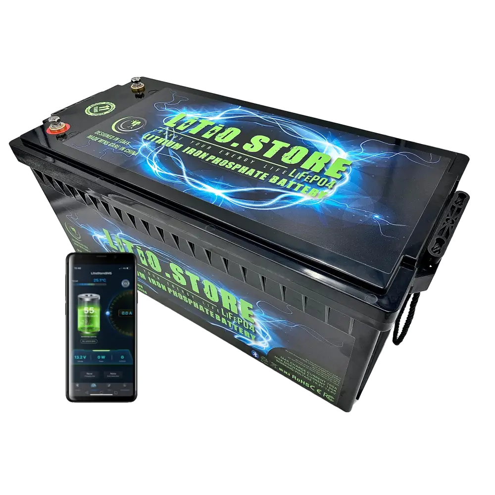 Batteria LiFePO4 12V 200Ah Bluetooth Litio Store LFP 150A BMS 2560Wh 11486 - LiFePO4 Battery