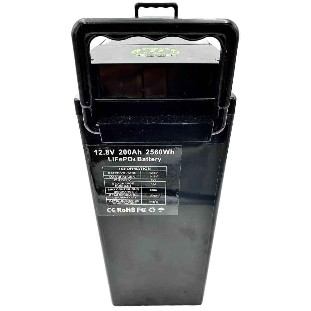 Batteria LiFePO4 12V 200Ah Litio Store LFP 100A BMS Ultraslim 2560Wh 11511 - LiFePO4 Battery