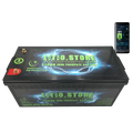 Batteria LiFePO4 24V 100Ah Bluetooth Litio Store LFP 100A BMS 2560Wh 11490 - LiFePO4 Battery