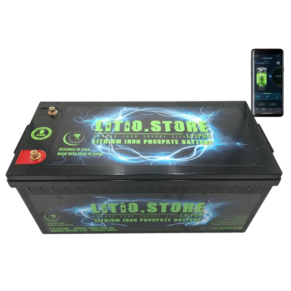 Batteria LiFePO4 24V 100Ah Bluetooth Litio Store LFP 100A BMS 2560Wh 11490 - LiFePO4 Battery