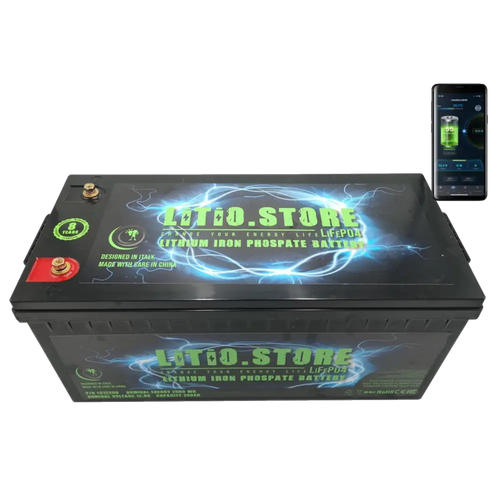 Batteria LiFePO4 24V 100Ah Bluetooth Litio Store LFP 100A BMS 2560Wh 11490 - LiFePO4 Battery
