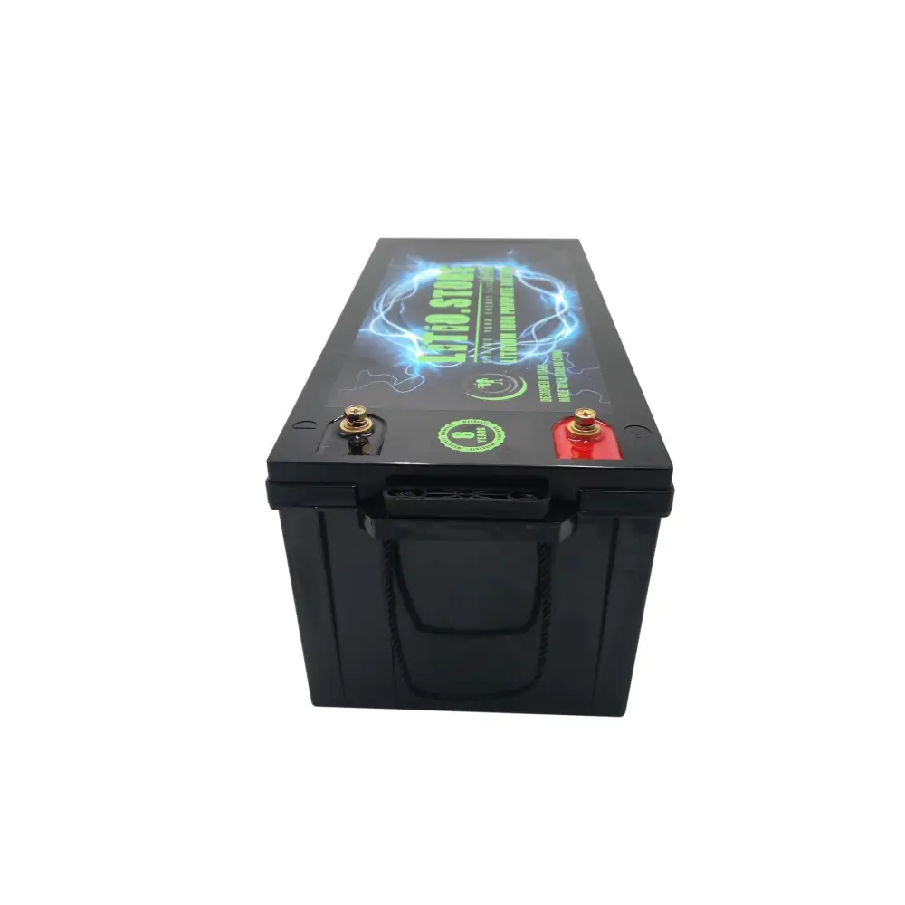 Batteria LiFePO4 24V 100Ah Bluetooth Litio Store LFP 100A BMS 2560Wh 11490 - LiFePO4 Battery