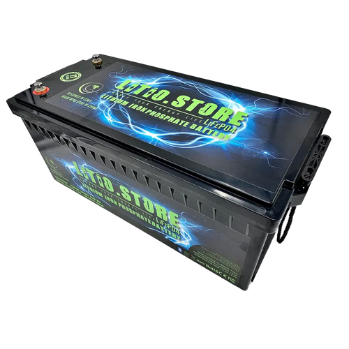 Batteria LiFePO4 24V 100Ah litio-ferro-fosfato 100A BMS 2560Wh Serie Classic 11479 - LiFePO4 Battery