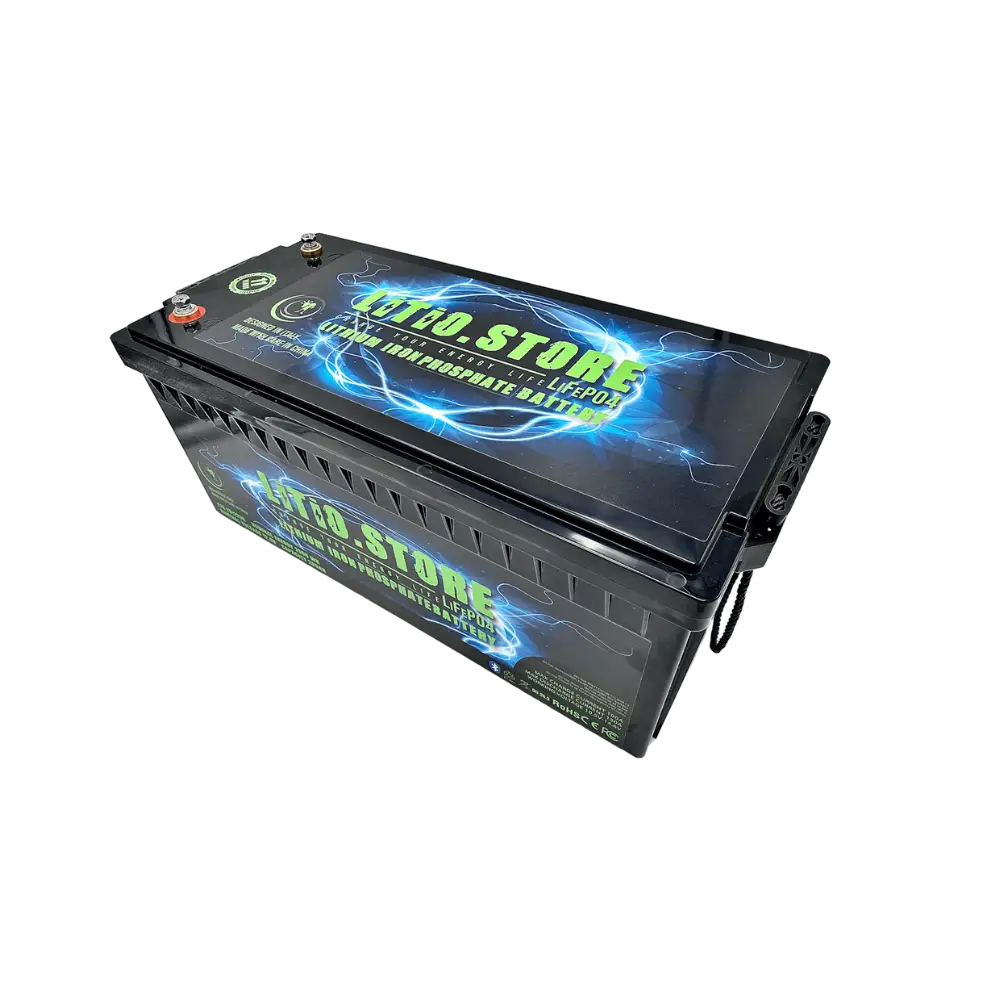 Batteria LiFePO4 24V 200Ah litio-ferro-fosfato 100A BMS 5120Wh 11499 - LiFePO4 Battery