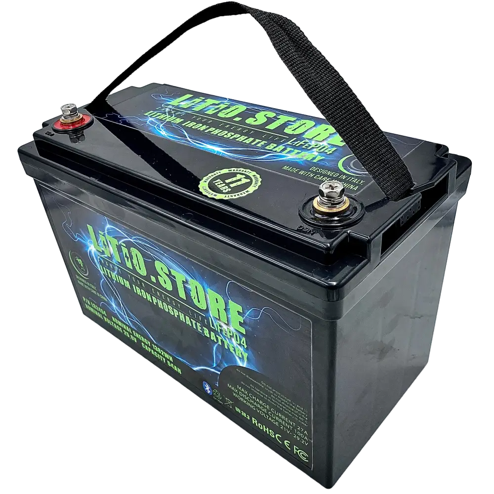 Batteria LiFePO4 24V 50Ah Bluetooth Litio Store LFP 100A BMS 1280Wh 11489 - LiFePO4 Battery
