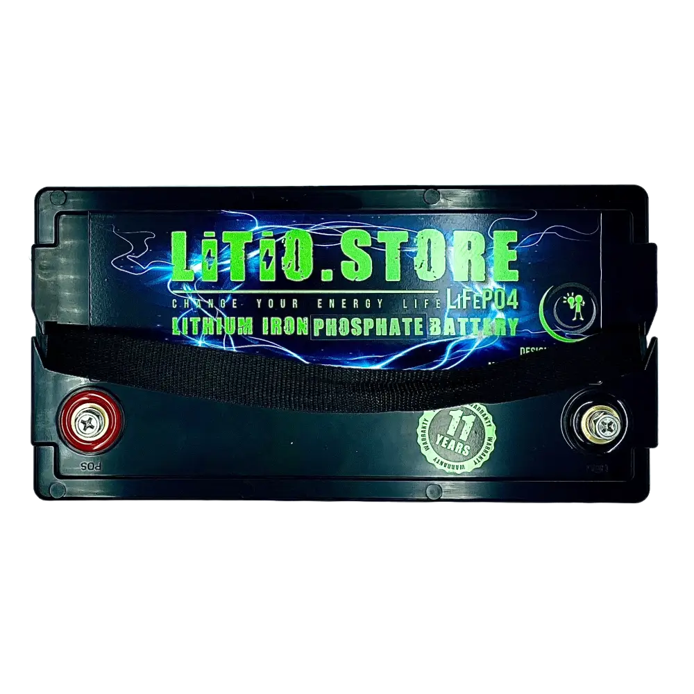 Batteria LiFePO4 24V 50Ah Bluetooth Litio Store LFP 100A BMS 1280Wh 11489 - LiFePO4 Battery