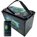 Batteria LiFePO4 24V 50Ah Bluetooth Litio Store LFP 100A BMS 1280Wh 11489 - LiFePO4 Battery