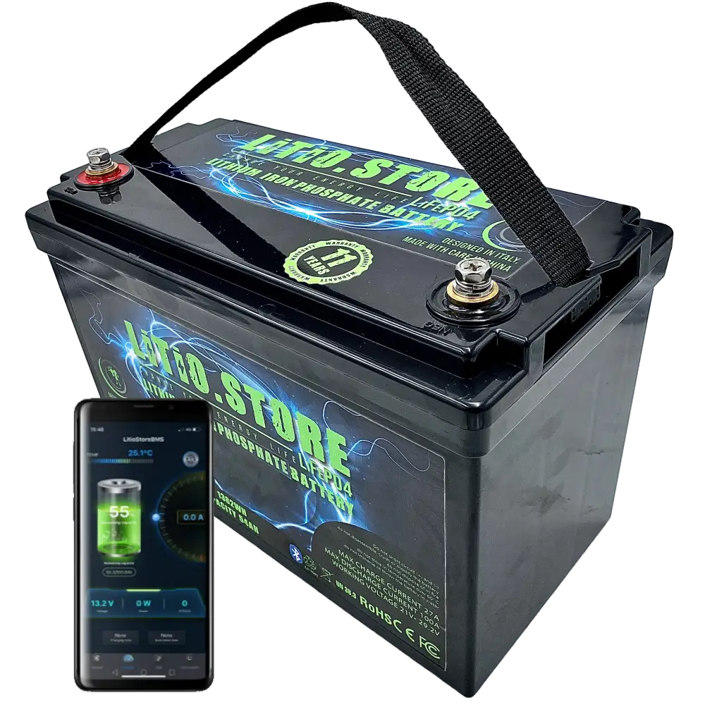 Batteria LiFePO4 24V 50Ah Bluetooth Litio Store LFP 100A BMS 1280Wh 11489 - LiFePO4 Battery
