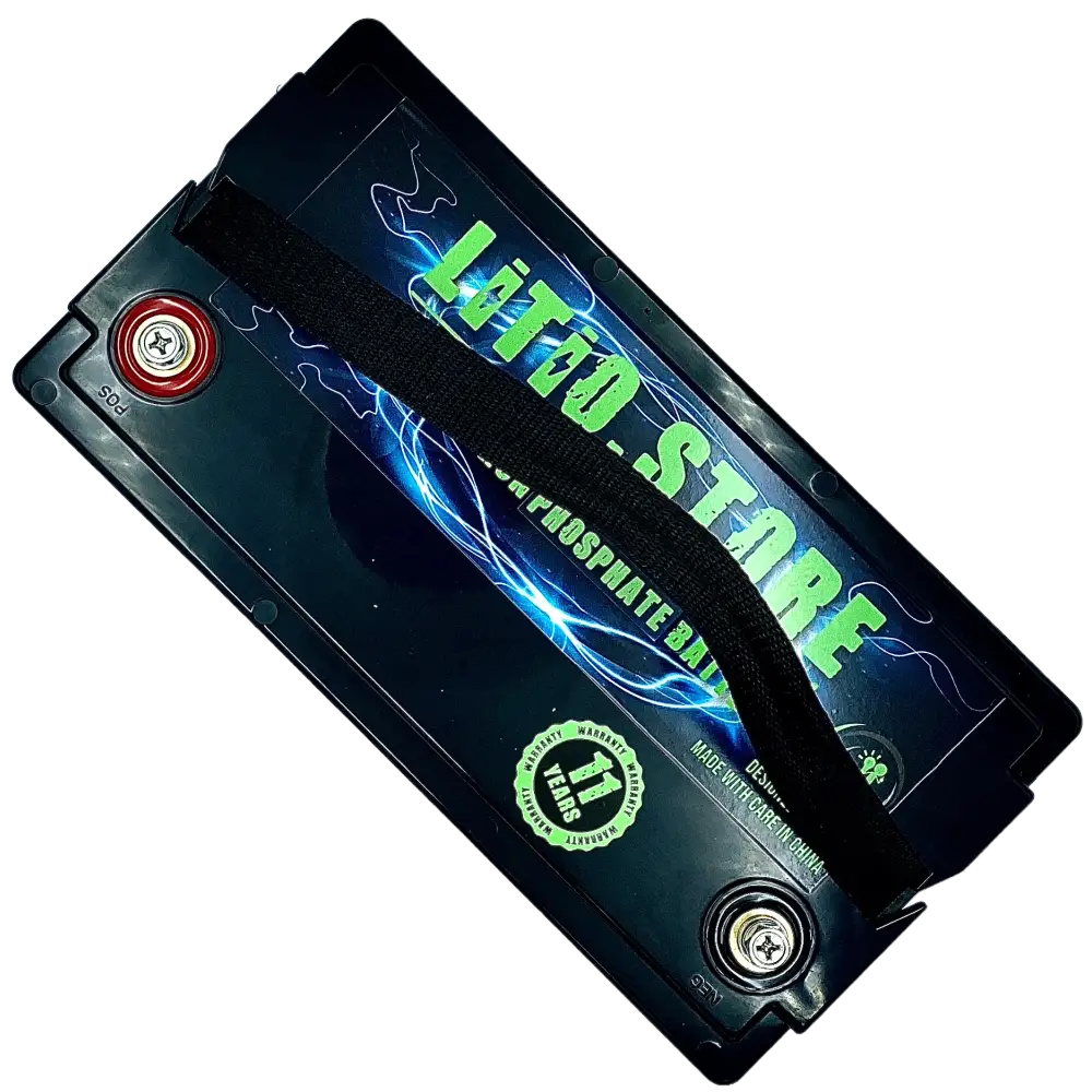 Batteria LiFePO4 24V 50Ah Bluetooth Litio Store LFP 100A BMS 1280Wh 11489 - LiFePO4 Battery