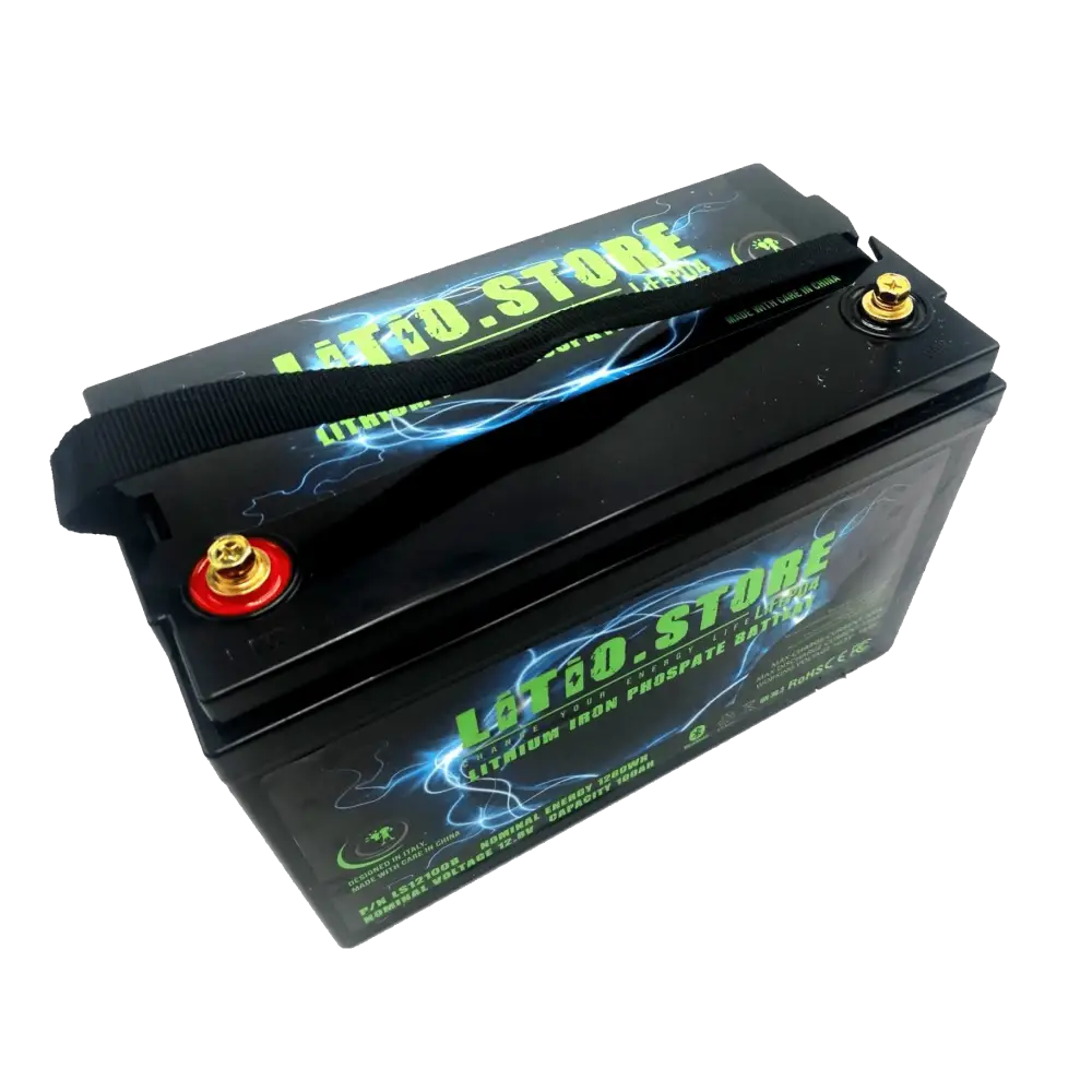 Batteria LiFePO4 24V 50Ah litio-ferro-fosfato 50A BMS 1280Wh 11478 - LiFePO4 Battery