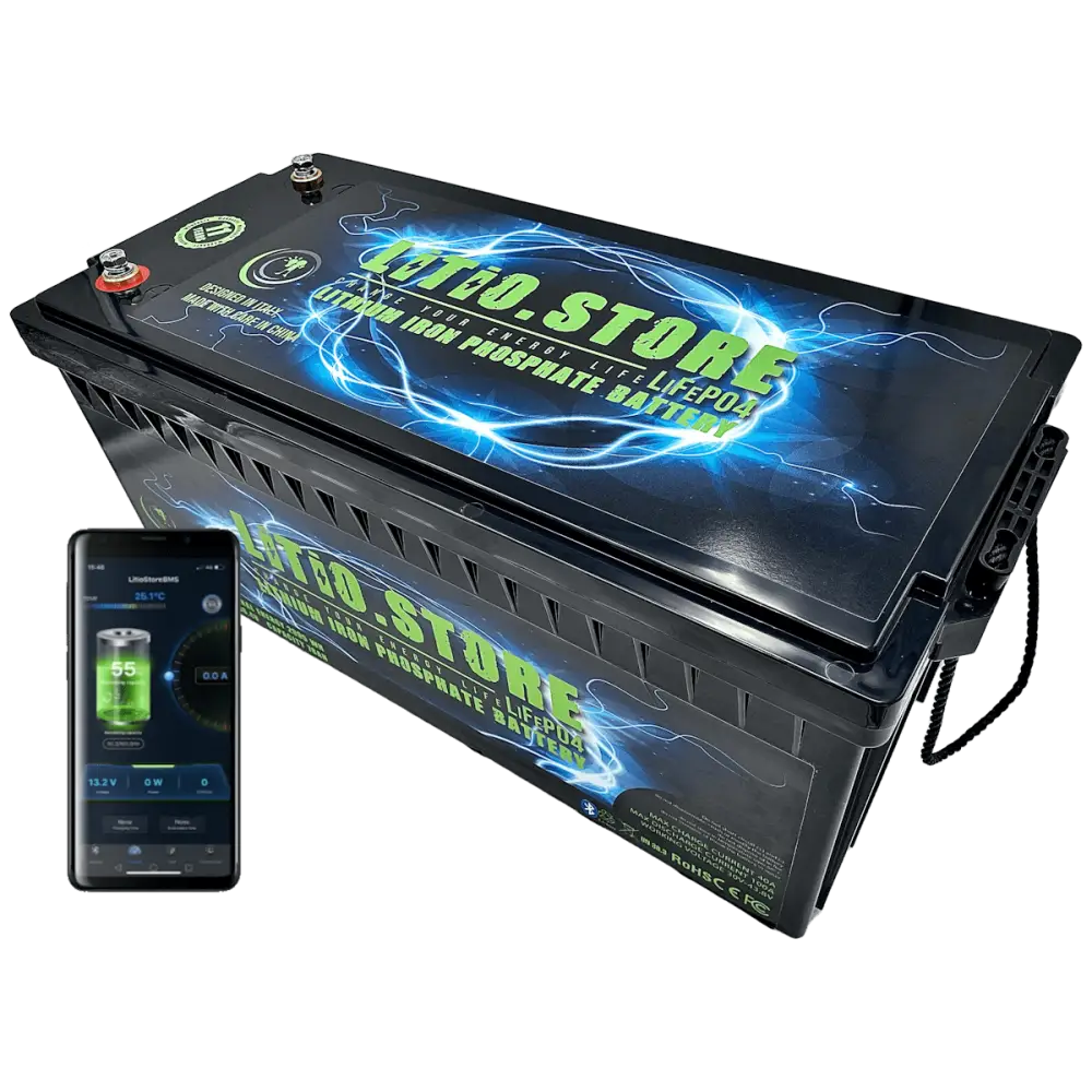 Batteria LiFePO4 36V 100Ah Bluetooth Litio Store LFP 150A BMS 3840Wh 11491 - LiFePO4 Battery