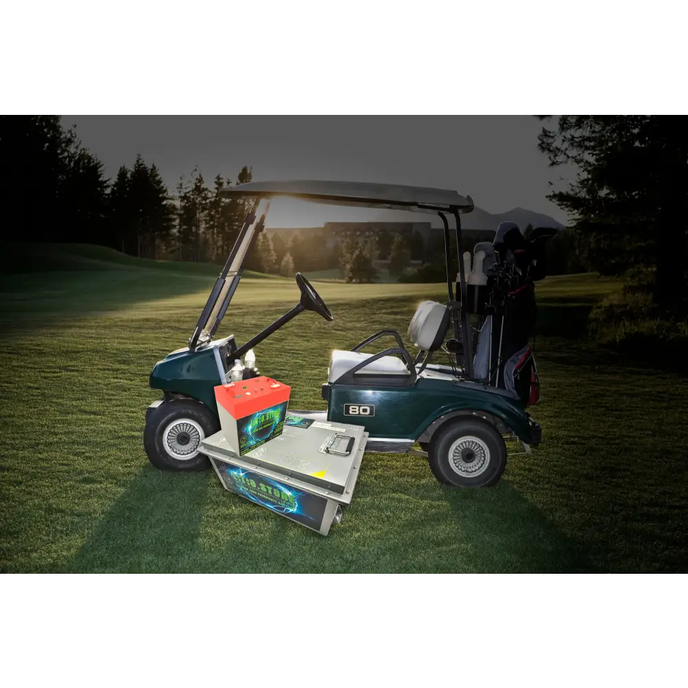 Batteria LiFePO4 48V 32Ah litio-ferro-fosfato 100A BMS 1638Wh GC2 per Golf Car Litio Store Serie PRO 11528 - LiFePO4