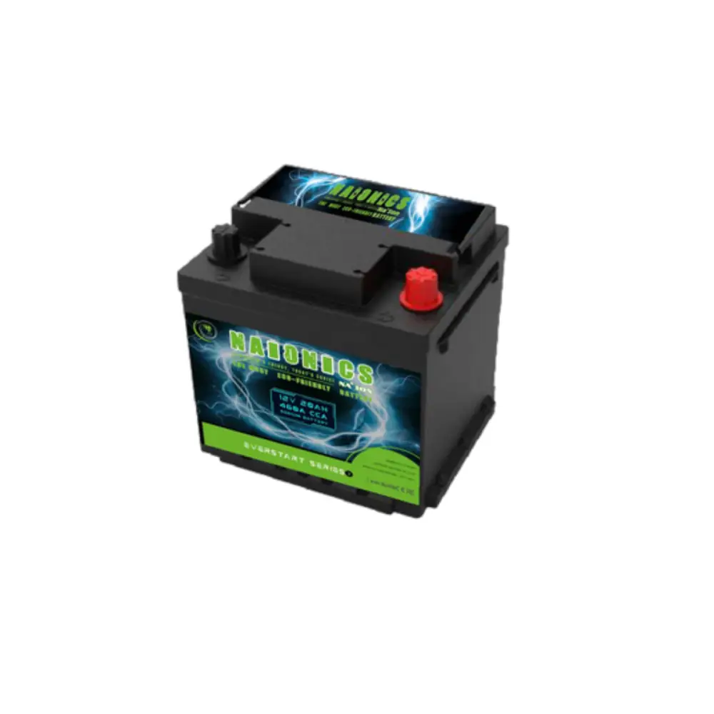 Batteria al Sodio 12V 20Ah EverStart Series NA1202001SN