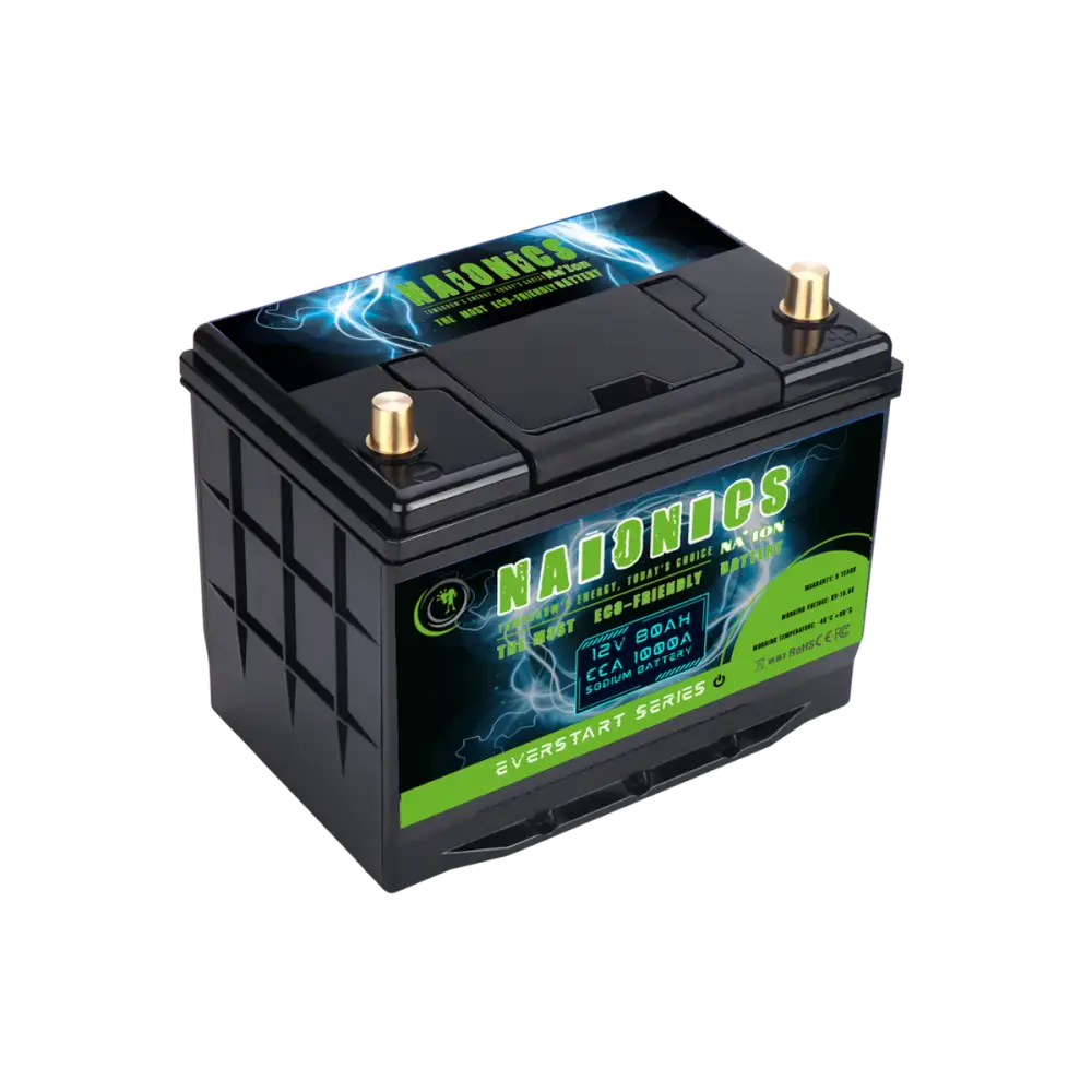 Batteria al Sodio 12V 80Ah EverStart Series NA1208001SB